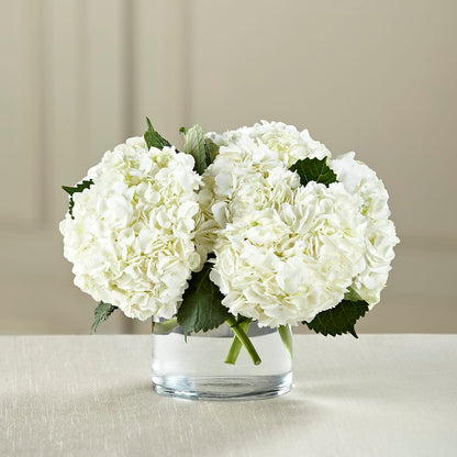 White Hydrangea Bouquet –  The Surprise Bouquet, Lawrenceburg TN