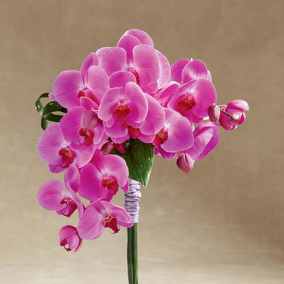 Glorious Bouquet –  The Surprise Bouquet, Lawrenceburg TN