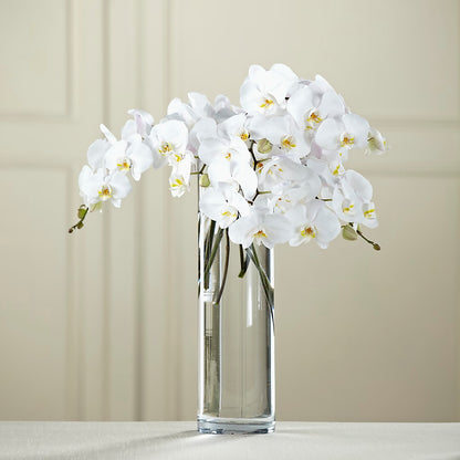 White Phalaenopsis Bouquet –  The Surprise Bouquet, Lawrenceburg TN
